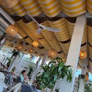 Meet your Posher, Candi